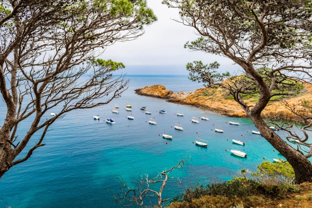 Alicante, położone na wschodnim wybrzeżu Hiszpanii, jest miastem, które przyciąga zarówno turystów, jak i inwestorów nieruchomości
